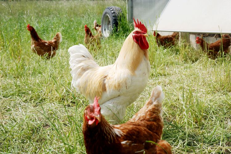 Galerie Stautenhof 2