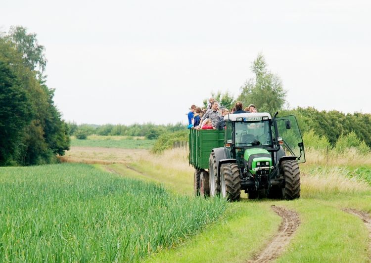 Lenßenhof Galerie 1