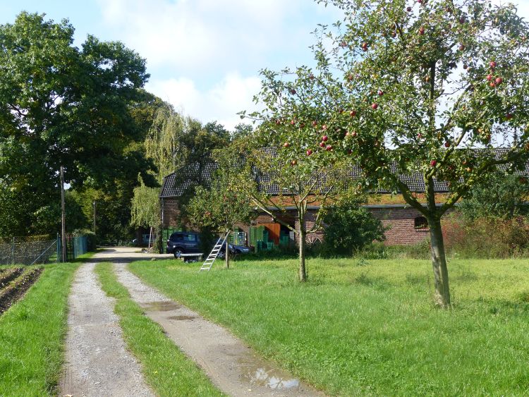 Lenßenhof Galerie 4