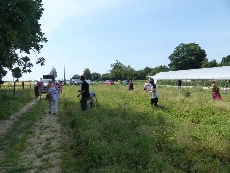 Lenßenhof Galerie 7