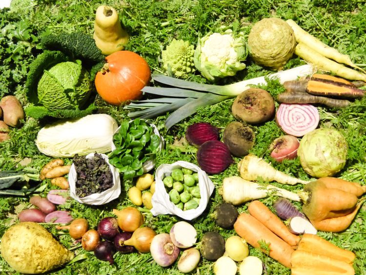 Lenßenhof Galerie 8